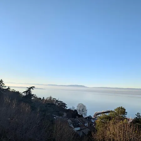 Appartement Berges Du Leman-coeur De *