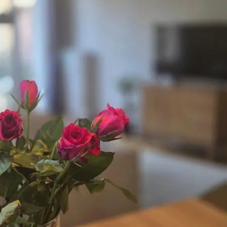 Berges Du Leman-coeur De Appartement *